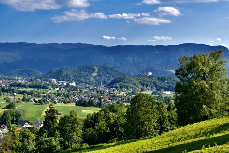 Soteska Vintgar - Soteska Vintgar Turistično društvo Gorje, Podhom 80, 4247 Zgornje Gorje, Slovenia