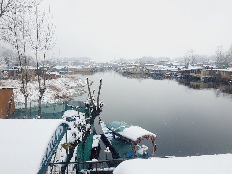 Green view group of houseboat - Green view group of houseboat, New Khonakhan Rd, Karapura, Rainawari, Srinagar, 190001