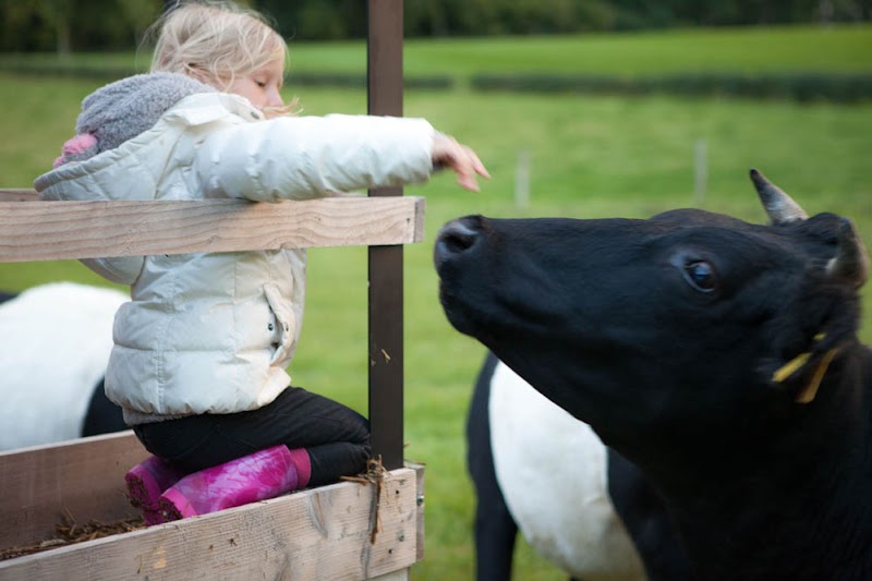 FarmCamps De Verloren Kost - FarmCamps De Verloren Kost Verlorenkostweg 1, 6271 NS Gulpen, Netherlands