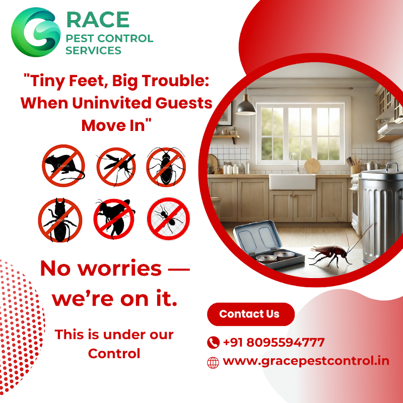 Grace Pest Control Services - Grace Pest Control Services, No.3, Rathanamma Nilaya,4th Cross, Nehru Rd, Venkateshappa Layout, Kammanahalli, Bengaluru, Karnataka 560084, India