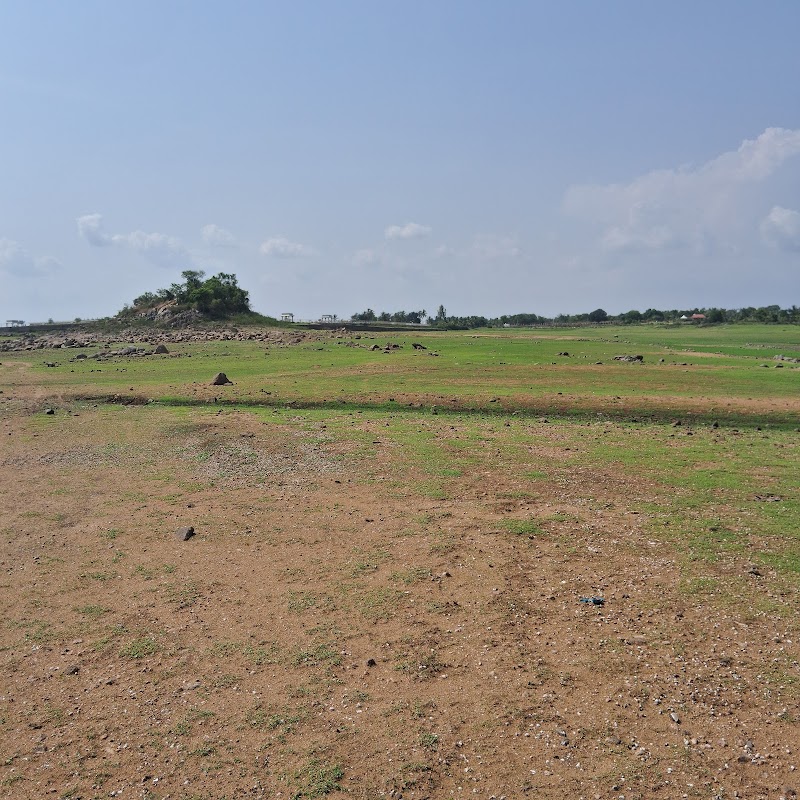 KRS Backwaters - KRS Backwaters, CHX7+8GQ, Kannambadi, Karnataka 571812, India