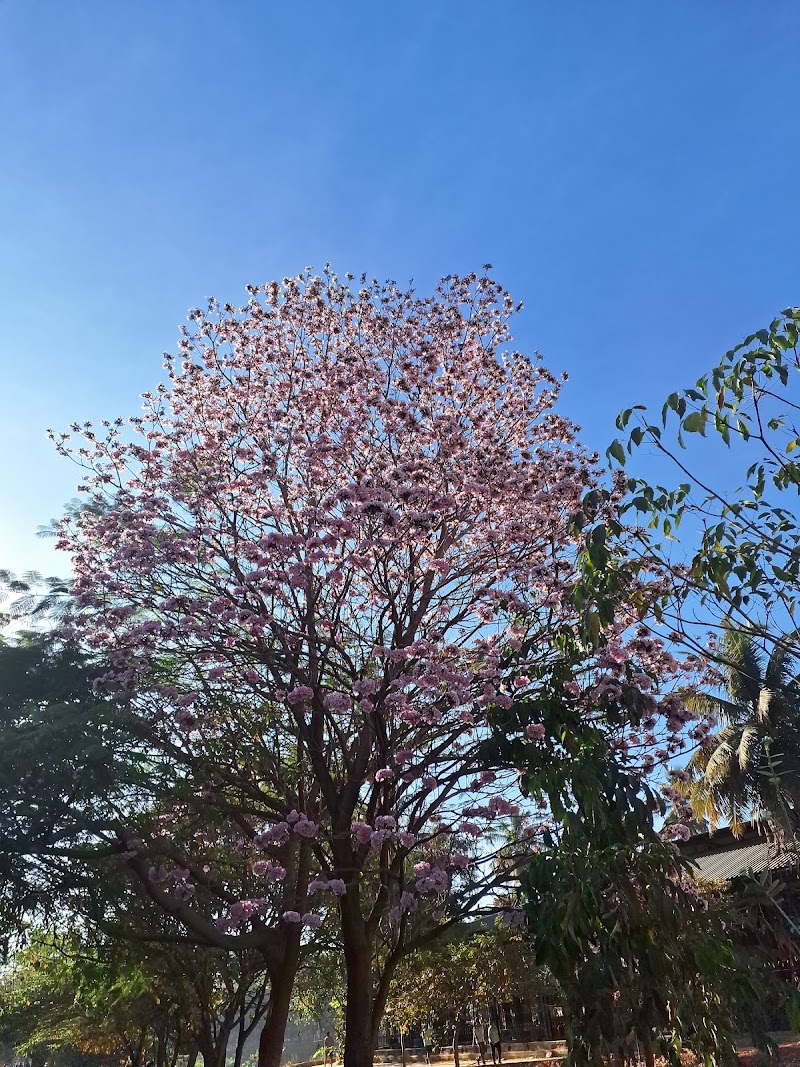 Atal Bihari Vajpayee Park - Atal Bihari Vajpayee Park 28, 5th Main Rd, Malleshpalya, Kaggadasapura, Bengaluru, Karnataka 560075, India