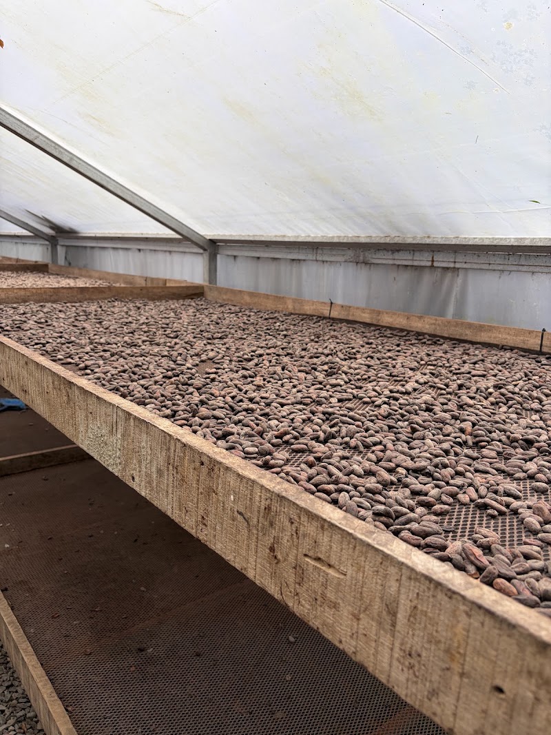 Eden Chocolate Tour - Eden Chocolate Tour, Alajuela Province, La Fortuna, Costa Rica