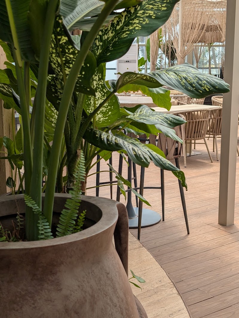Jolene by the Sea - Jolene by the Sea Ground Floor, Gumal Vaddo, Anjuna, Goa 403509, India