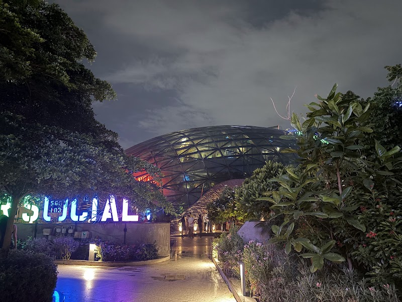 Bellandur SOCIAL - Bellandur SOCIAL Kaverappa Layout, Kadubeesanahalli, Bengaluru, Karnataka 560103, India