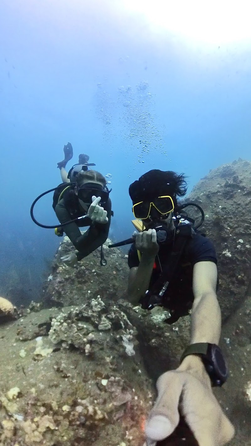 Sairee Cottage Diving - Sairee Cottage Diving 10, 1, Koh tao, Chang Wat Surat Thani 84360, Thailand