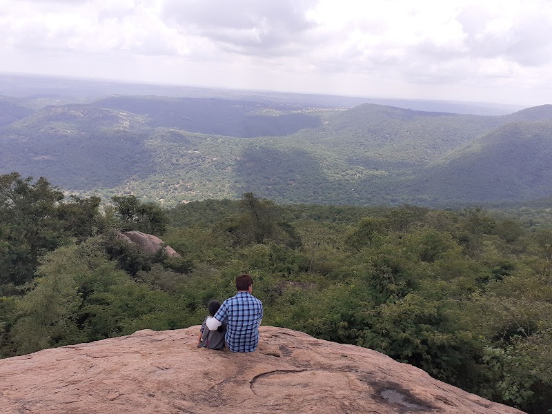 Bilikal Forest - Bilikal Forest Bilikal Forest, Karnataka 562121, India