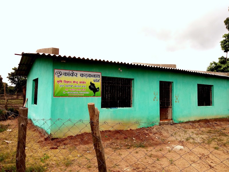 Kanker Kadaknath Farm - Kanker Kadaknath Farm, Nawagaon, Chhattisgarh 494334, India