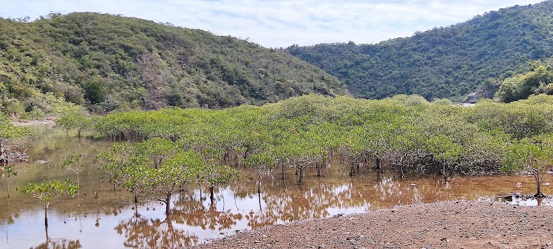 Sam A Tsuen - Sam A Tsuen, New Territories, Hong Kong