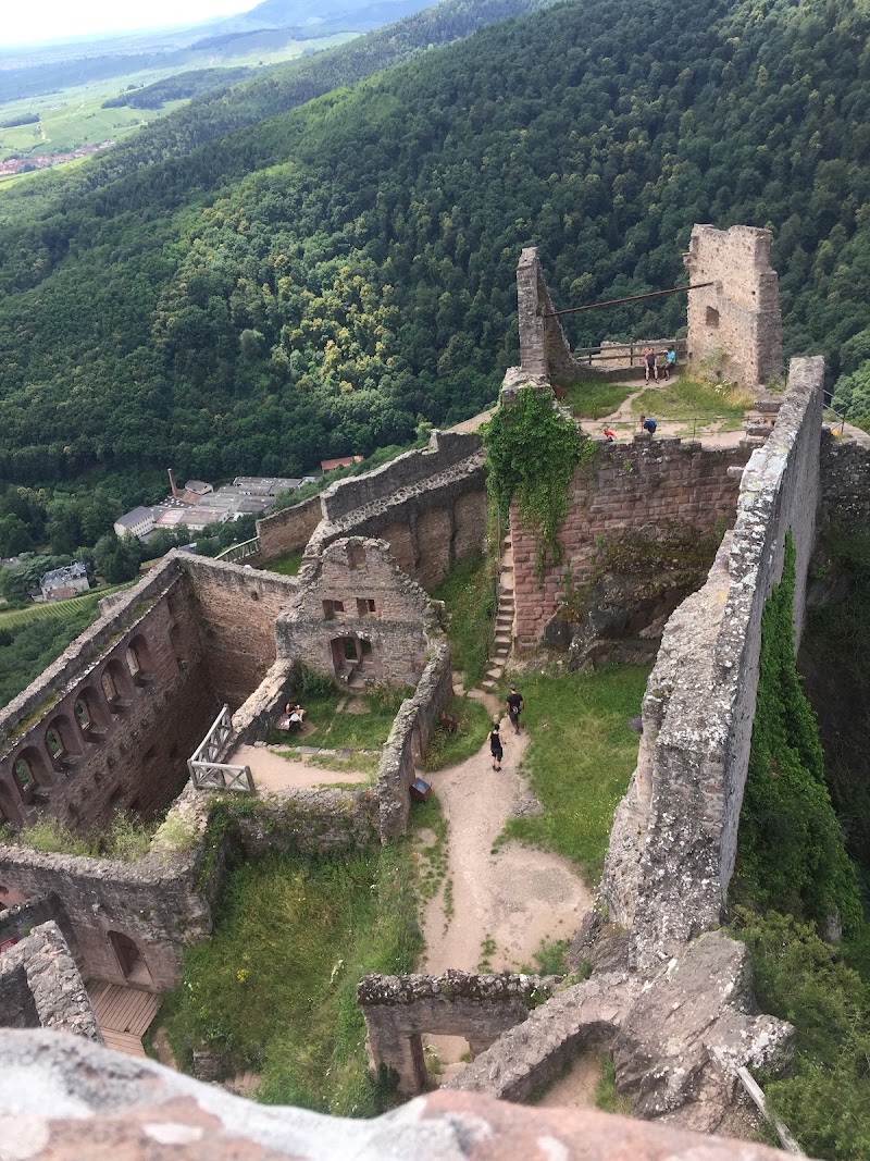 Château du Giersberg - Château du Giersberg, 68150 Ribeauvillé, France