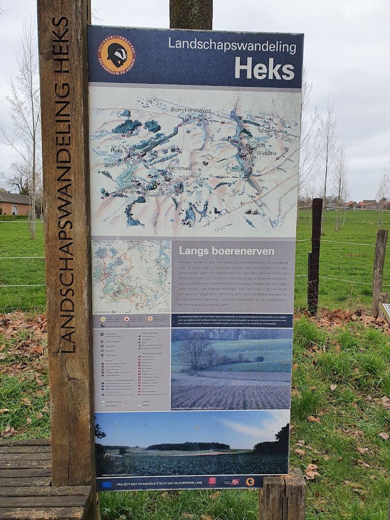Herberg de Horne - Herberg de Horne, Brugstraat 30, 3870 Vechmaal, Belgium