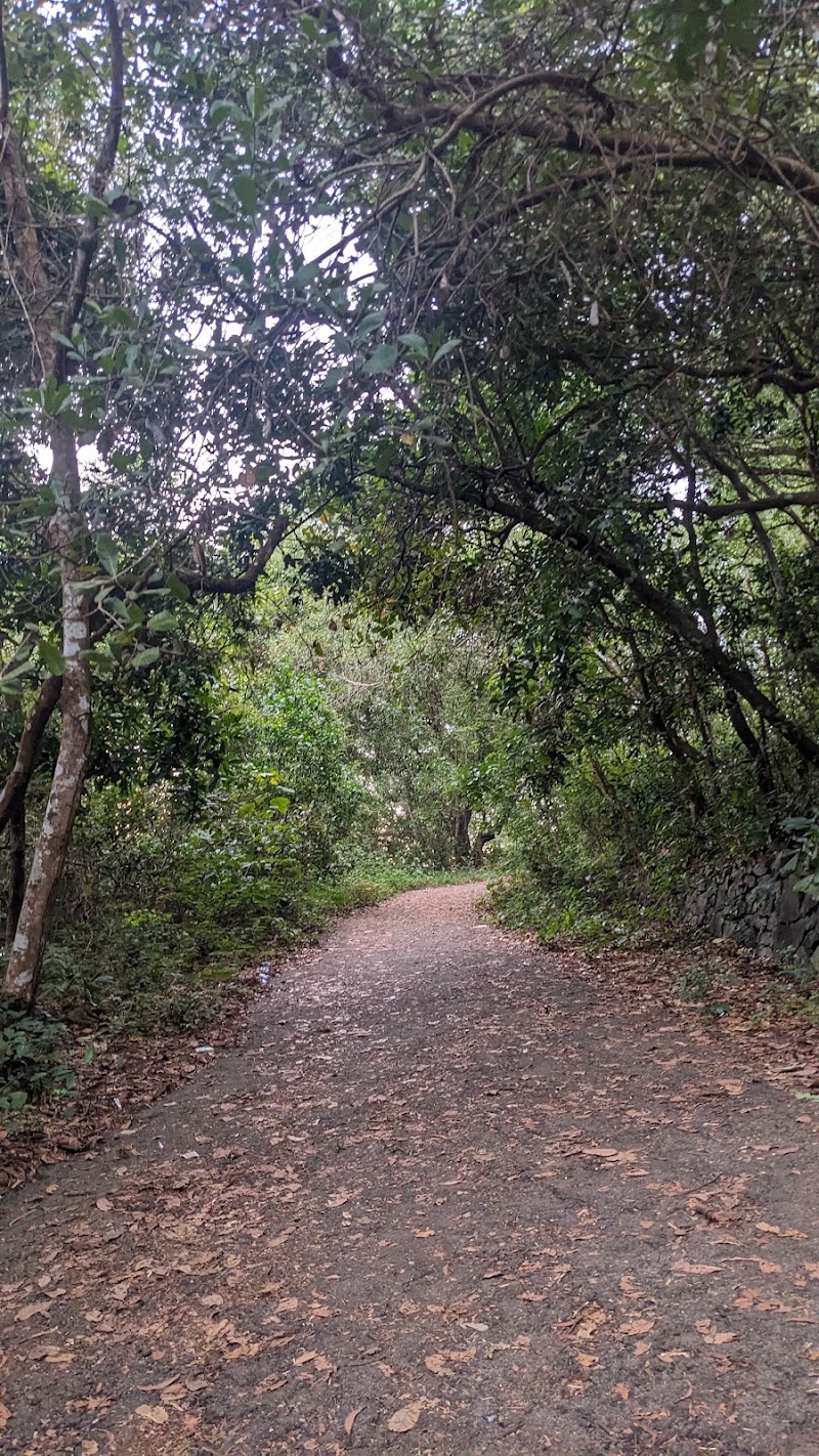Aanjilora Hills - Aanjilora Hills, Malayil,Cheruvatta,Parambil (Po, via, Marikkunnu, Kozhikode, Kuruvattoor, Kerala 673012, India