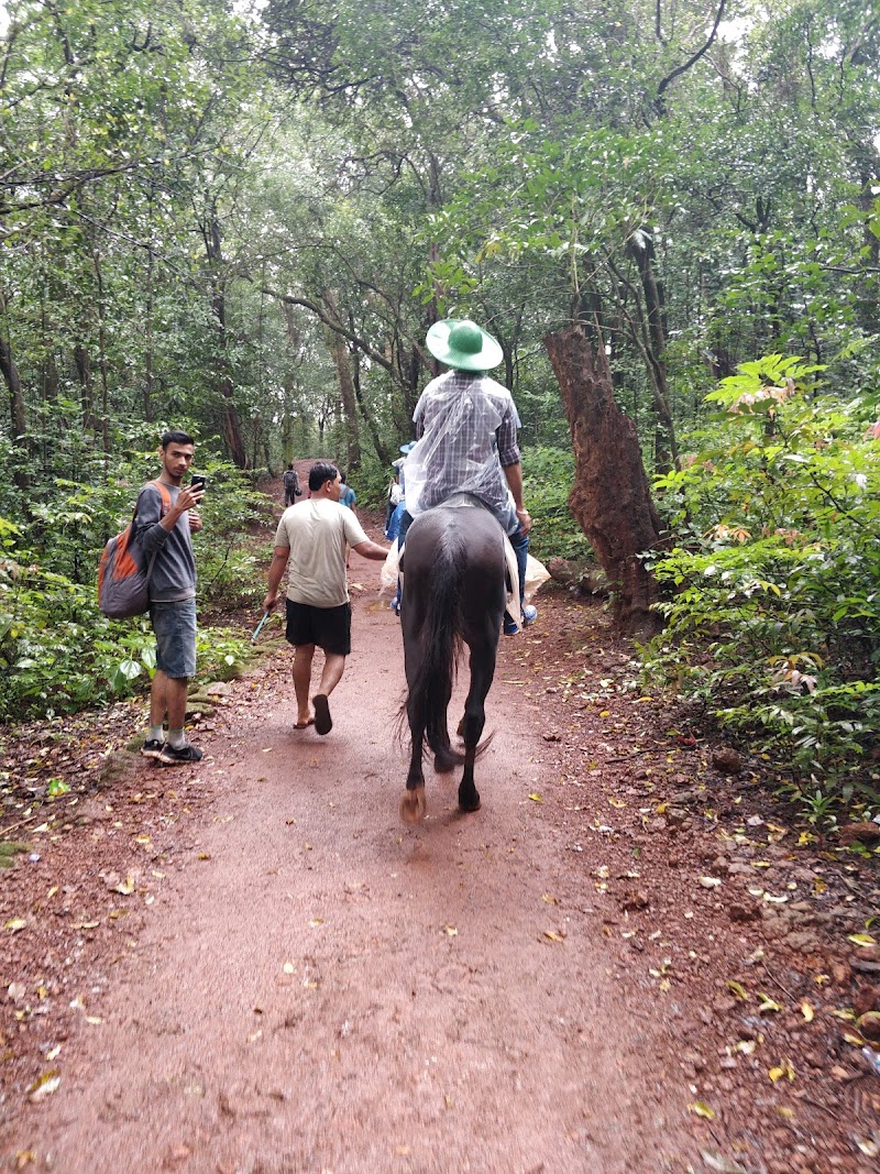 Coronation Point - Coronation Point X7R4+8J5, Matheran, Maharashtra 410206, India