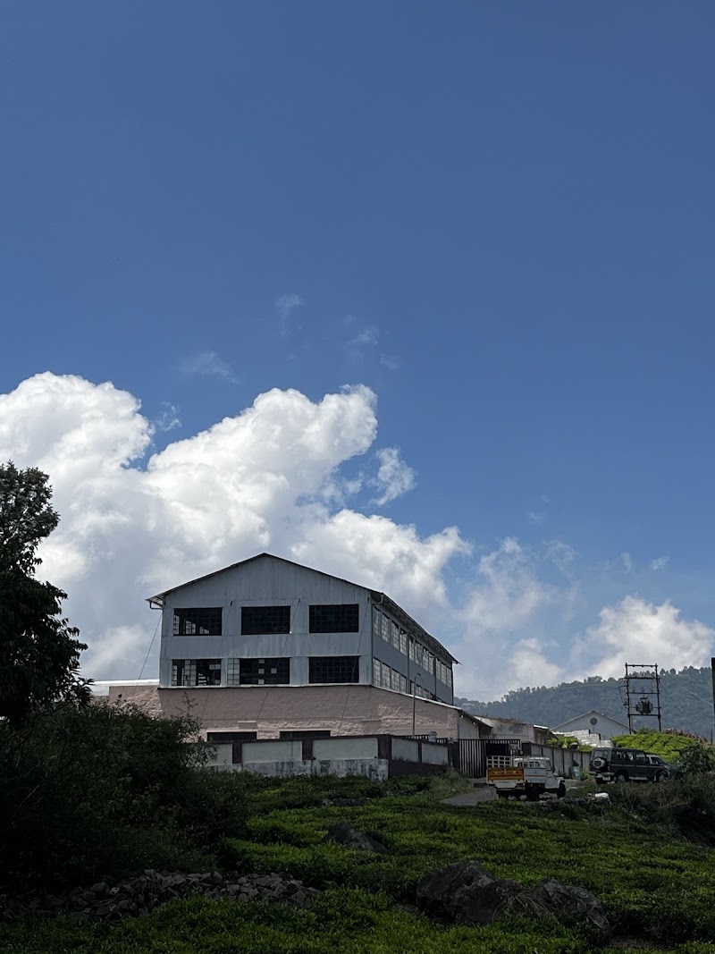 Hadathorai Tea Factory - Hadathorai Tea Factory, Kerben Road, Kotagiri, Tamil Nadu 643214, India