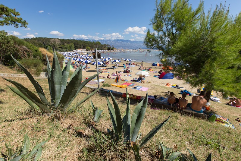 Apartments Leo Lopar - Apartments Leo Lopar Lopar 229, 51281, Lopar, Croatia