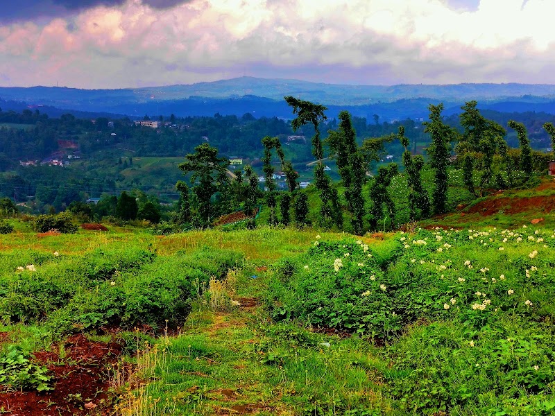 Shillong Peak - Shillong Peak Pomlakrai, Meghalaya 793010, India