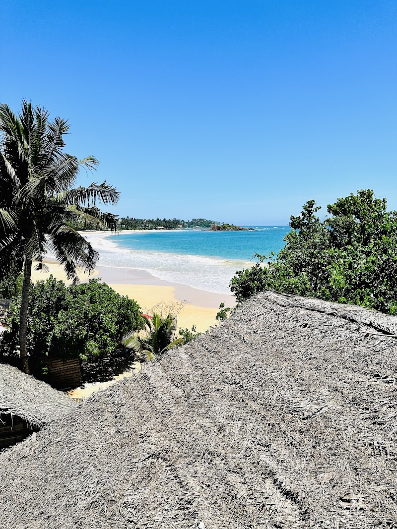 Coconut Tree Hill - Coconut Tree Hill Mirissa, Sri Lanka