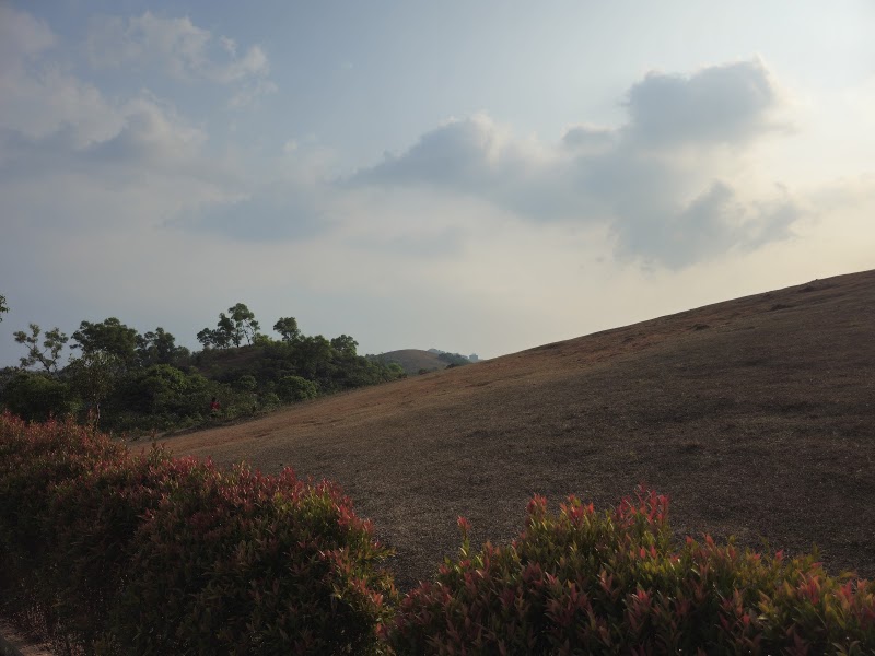 Vagamon Meadows - Vagamon Meadows Vagamon, Kolahalamedu, Kerala 685501, India
