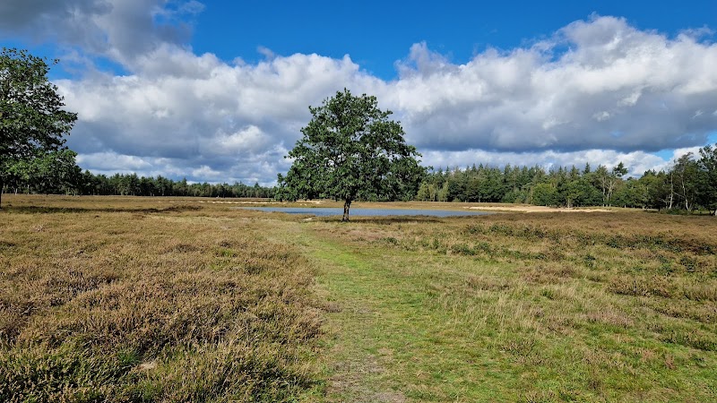 Somerense Heide - Somerense Heide, 5711 RJ Someren, Netherlands