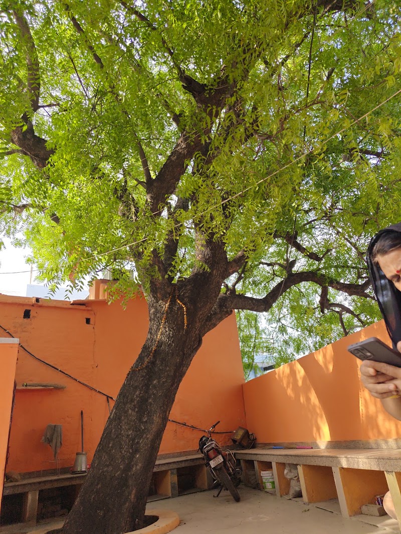 KalpSiddhi Vriksh ( कल्पसिद्धि वृक्ष ) - KalpSiddhi Vriksh ( कल्पसिद्धि वृक्ष ), 6J86+VV8, Durga Colony, Rewari, Haryana 123401, India