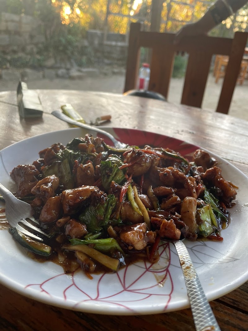 We Vikings Cafe Bir - We Vikings Cafe Bir, near landing site, near post office, Keori, Bir, Himachal Pradesh 176077, India