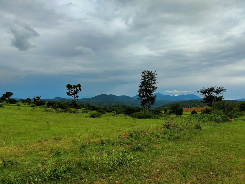 Sangam-Mekedhatu Road - Sangam-Mekedhatu Road, Sangam-Mekedhatu Rd, Karnataka 562117, India