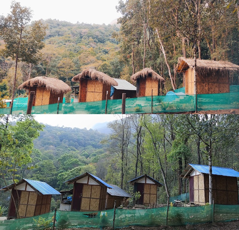 Dzükou Camp Site - Viswema