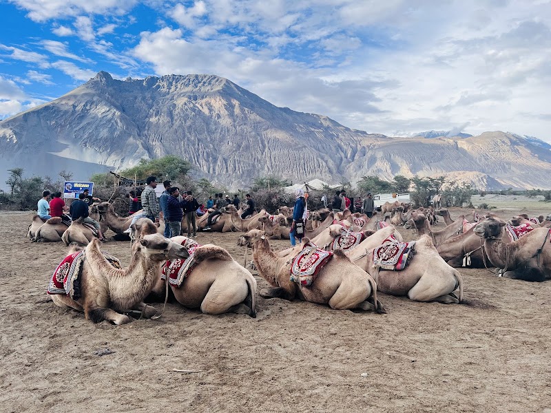 Nubra Valley - Nubra Valley, HG2W+7FX, Diskit, 194401