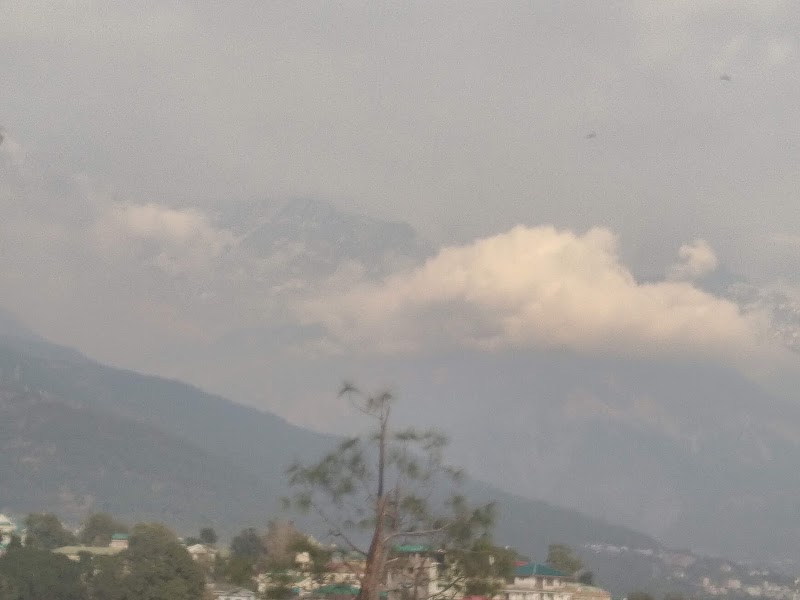 depot bazar - depot bazar, 684C+RF9, Depot-Bazar Rd, Chilgari, Dharamshala, Himachal Pradesh 176215, India