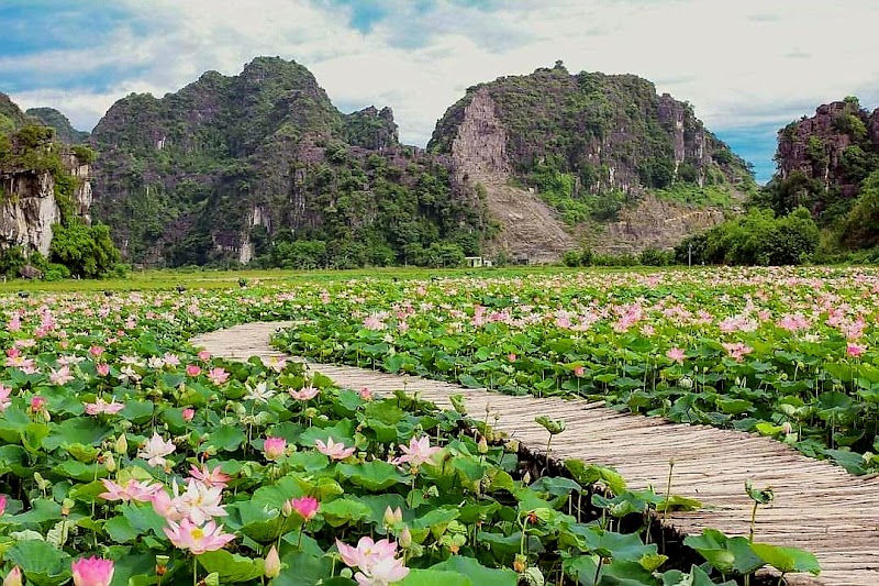 Hang Múa - Hang Múa Hang Múa, Ninh Hải, Hoa Lư, Ninh Bình, Vietnam