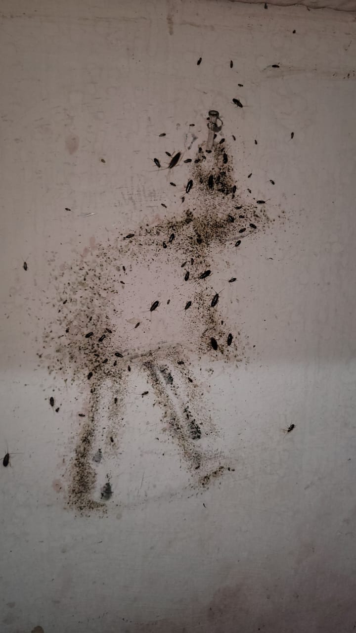 I Care Godrej Pest Control Services - I Care Godrej Pest Control Services, Govindraj nagar, Govindaraja Nagar Ward, Govindaraja Nagar, Vijayanagar, Bengaluru, Karnataka 560040, India