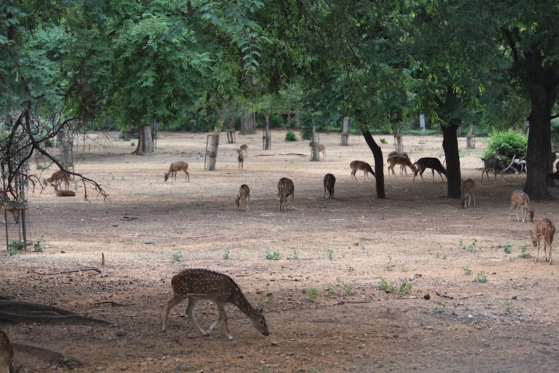 Namada Chilume Deer Park