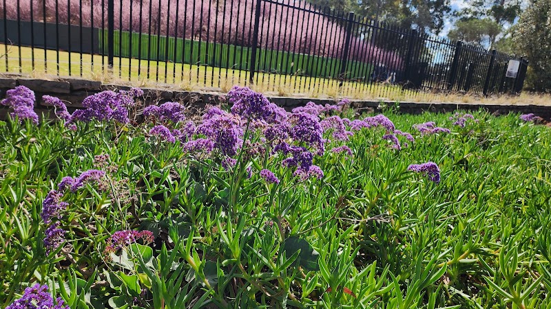 Auburn Botanic Gardens, Chisholm Rd - Auburn Botanic Gardens, Chisholm Rd Auburn NSW 2144, Australia