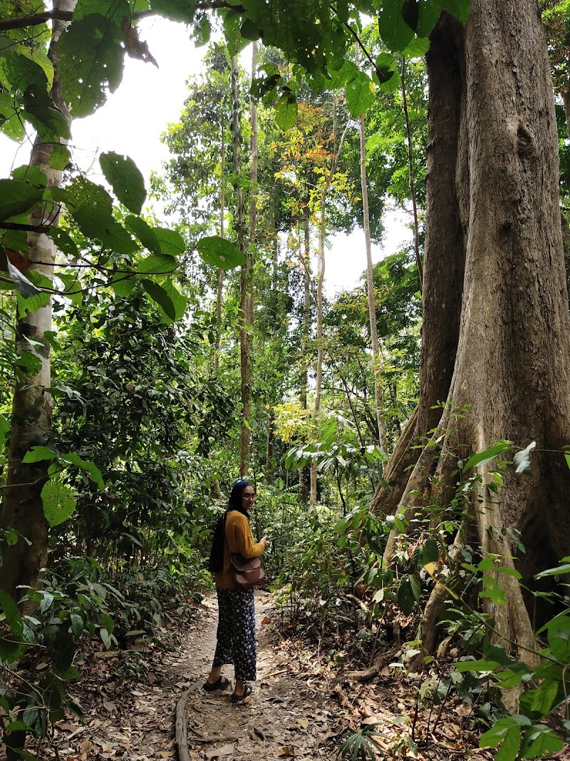 Walking Path To Elephant Beach - Walking Path To Elephant Beach 2X57+FCJ, SH4, Andaman and Nicobar Islands 744211, India