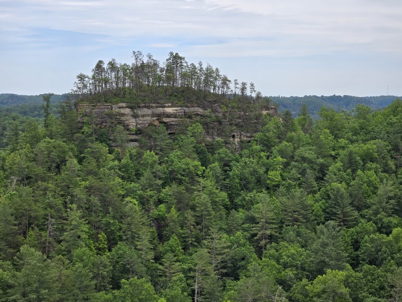 Natural Bridge State Park Resort Suspension Bridge - Natural Bridge State Park Resort Suspension Bridge 2610 Natural Bridge Rd, Slade, KY 40376, USA