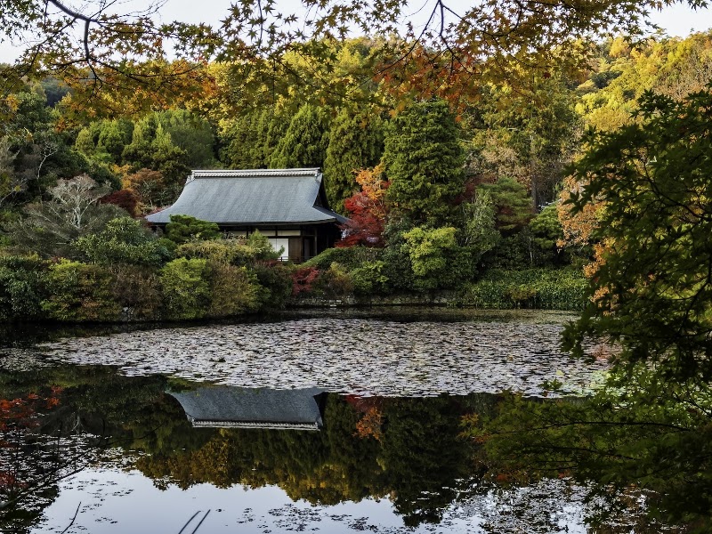 Ryōan-ji - Ryōan-ji 13 Ryōanji Goryōnoshitachō, Ukyo Ward, Kyoto, 616-8001, Japan