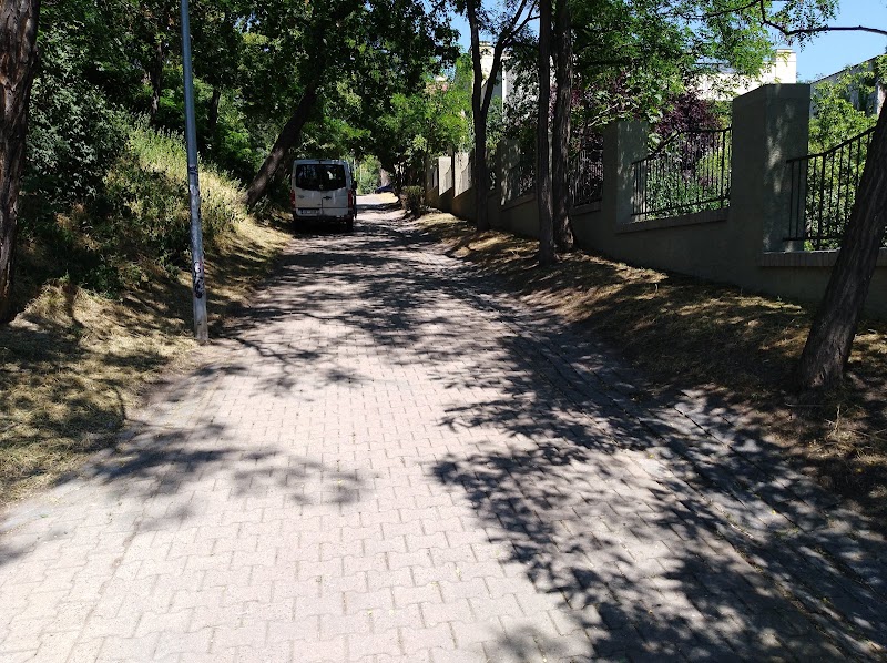 Šaloun Studio - Šaloun Studio, Slovenská 4, Vinohrady, 101 00 Praha-Praha 10, Czechia
