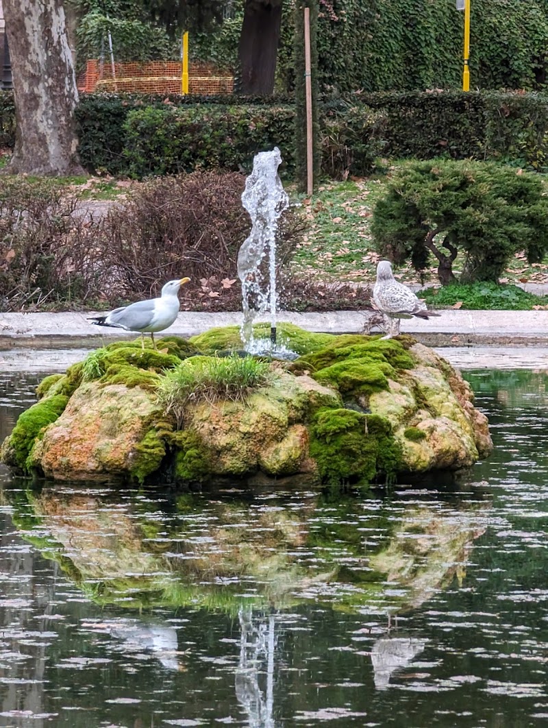 Fontana Rotonda di Villa Borghese - Fontana Rotonda di Villa Borghese, Viale della Fontana Rotonda, 00197 Roma RM, Italy