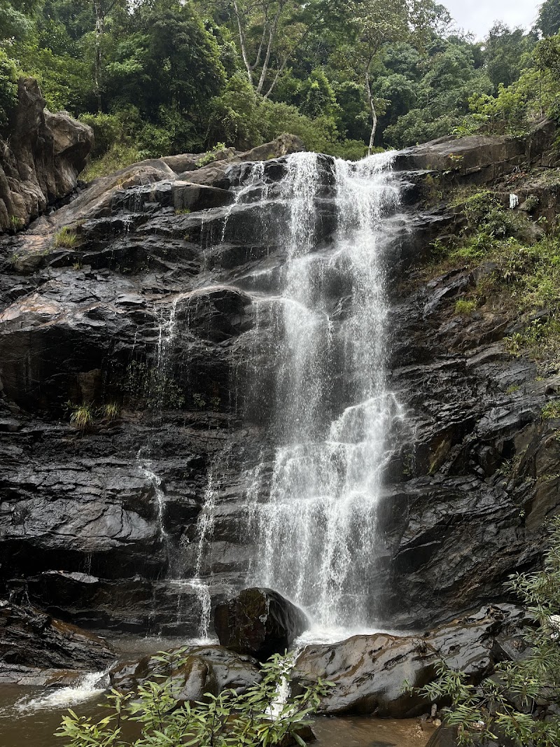 Charmadi Ghat, Dakshina Kannada - Charmadi Ghat, Dakshina Kannada, 3FH8+FP4, Charmady, Karnataka 574228, India