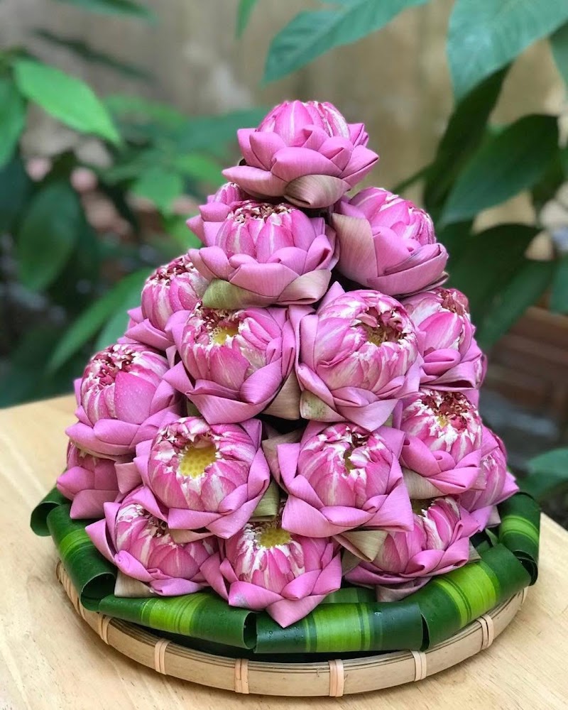 Comida Ngon - Flower Art Tour - Comida Ngon - Flower Art Tour, 10/450, Đ. Bạch Đằng, Hồng Hà, Hà Nội 10000, Vietnam