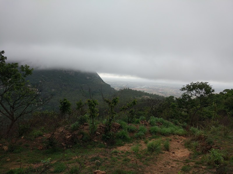 Nandi One - Nandi One 9M4C+GGF, Nandi Hills, Karnataka 562103, India