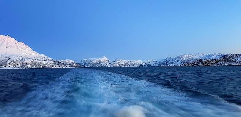 Arctic Explorer AS - Arctic Explorer AS Søndre Tollbodgate 3, 9008 Tromsø, Norway