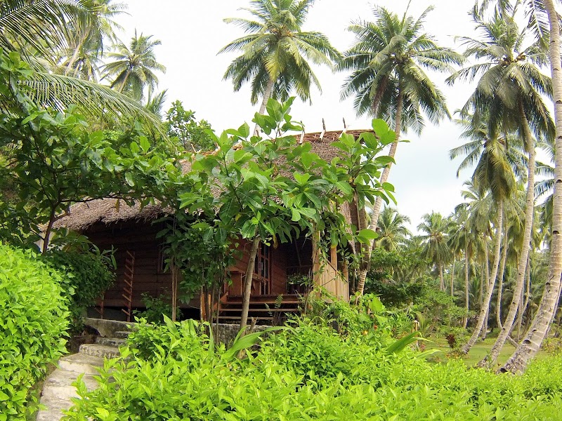 Mentawai Surf Retreat® - Mentawai Surf Retreat®, Katurei, Seberut Barat Daya, Mentawai Islands Regency, West Sumatra 25393, Indonesia