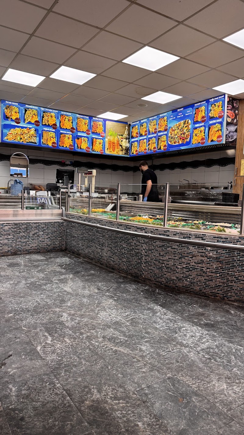 Fish palace - Fish palace, Crooswijkseweg 86, 3034 HM Rotterdam, Netherlands