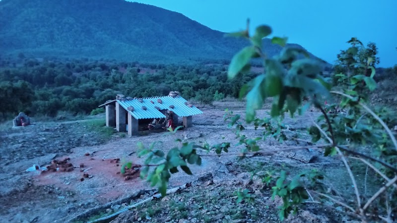 Jogi Dhipa (Makad Chuan) - Jogi Dhipa (Makad Chuan), P3RQ+QW7, Solbandh, Odisha 767025, India