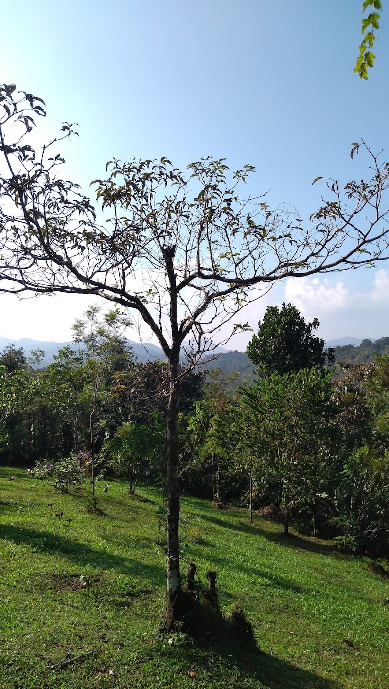 Spicewood Farms Pvt Ltd. - Spicewood Farms Pvt Ltd. Periya, Alattil, Kerala 670644, India
