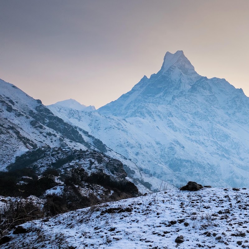 Mardi Himal Base Camp - Mardi Himal Base Camp Lumle 33700, Nepal