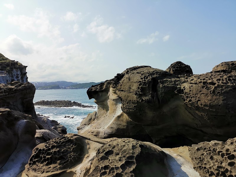 Shen’ao Capybara Rock - Shen’ao Capybara Rock, Ruifang District, New Taipei City, Taiwan 224