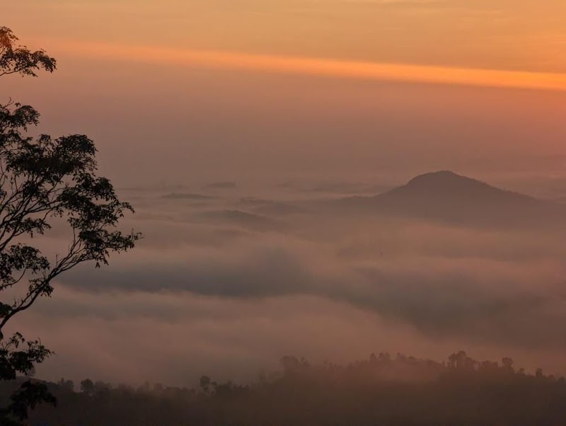 Utopia Wayanad - Utopia Wayanad, NO:8, Vellarimala ,Vellarimala ( PO Chooralmala, Meppadi, Vellarimala, Keralam 673577, India