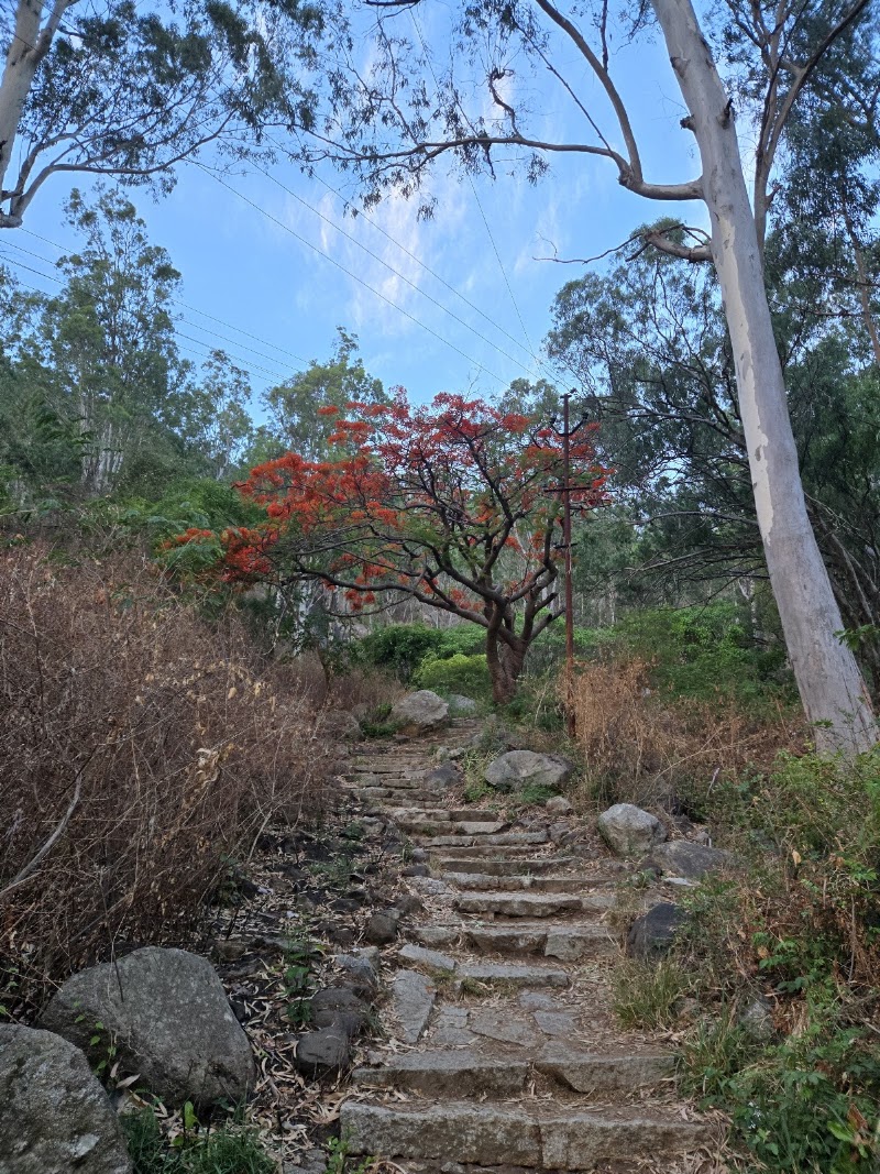 Nandi hills trekking spot